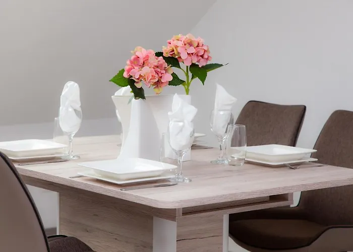 T&k Near Messe Fair Trade Duesseldorf Und Airport 3b * ドゥイスブルグ